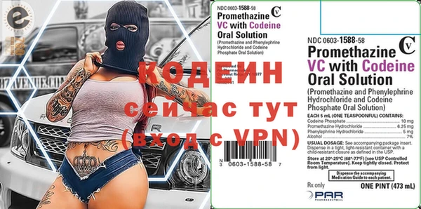 шишки Гусев