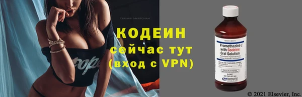 гашик Гусиноозёрск