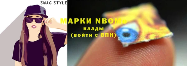гашик Гусиноозёрск