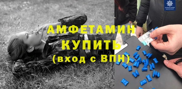 шишки Гусев