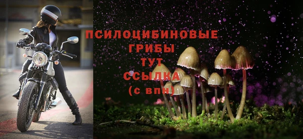 а пвп мука Гусь-Хрустальный