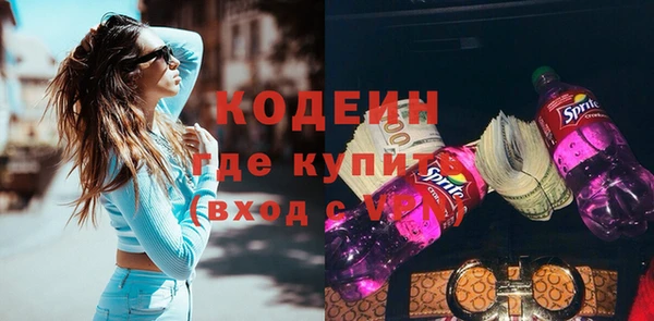 шишки Гусев