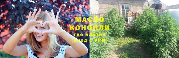 шишки Гусев