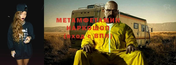 шишки Гусев
