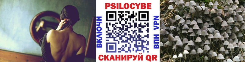 что такое наркотик  Москва  Галлюциногенные грибы GOLDEN TEACHER 