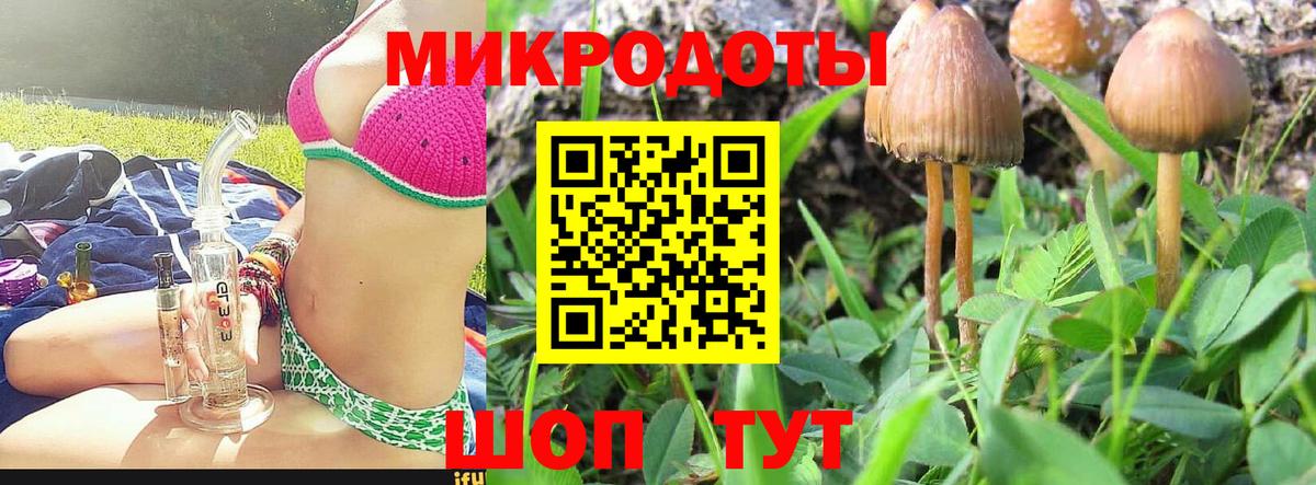 Галлюциногенные грибы Cubensis Москва
