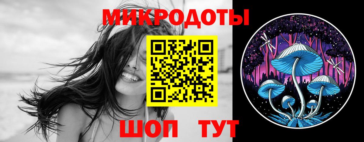 Псилоцибиновые грибы MAGIC MUSHROOMS  где купить   Москва  Вход с VPN 